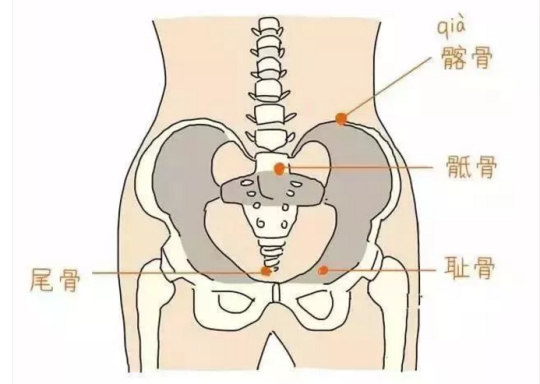 腹直肌修复