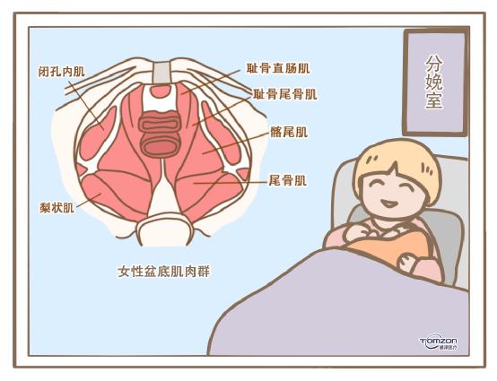 盆底康复治疗仪.jpg