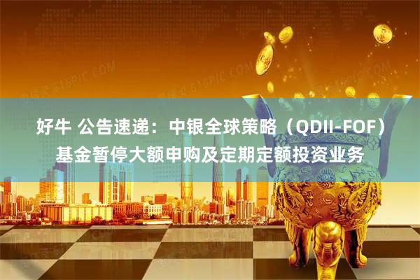 好牛 公告速递：中银全球策略（QDII-FOF）基金暂停大额申购及定期定额投资业务
