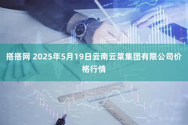 搭搭网 2025年5月19日云南云菜集团有限公司价格行情