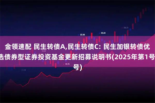 金领速配 民生转债A,民生转债C: 民生加银转债优选债券型证券投资基金更新招募说明书(2025年第1号)