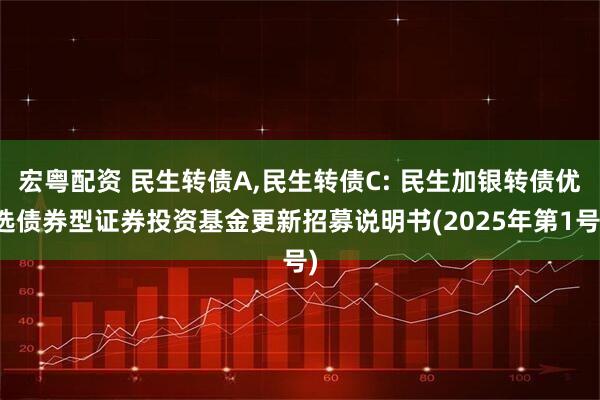 宏粤配资 民生转债A,民生转债C: 民生加银转债优选债券型证券投资基金更新招募说明书(2025年第1号)