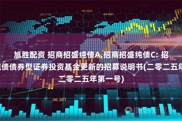 旭胜配资 招商招盛纯债A,招商招盛纯债C: 招商招盛纯债债券型证券投资基金更新的招募说明书(二零二五年第一号)