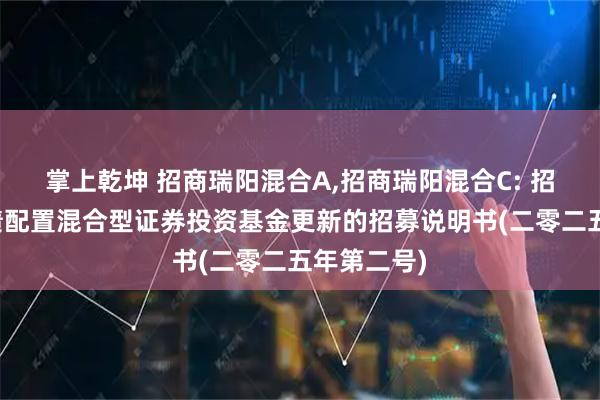 掌上乾坤 招商瑞阳混合A,招商瑞阳混合C: 招商瑞阳股债配置混合型证券投资基金更新的招募说明书(二零二五年第二号)