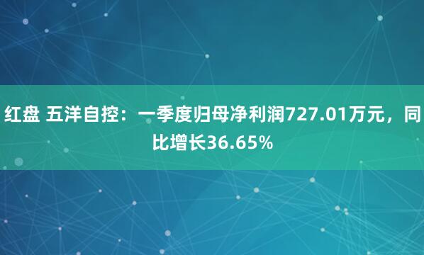 红盘 五洋自控：一季度归母净利润727.01万元，同比增长36.65%