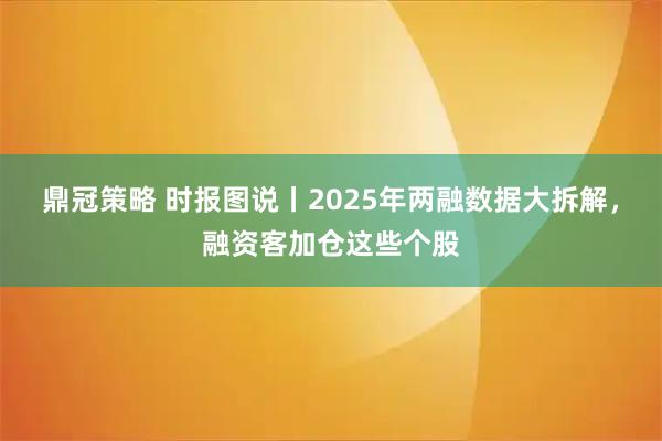 鼎冠策略 时报图说丨2025年两融数据大拆解，融资客加仓这些个股