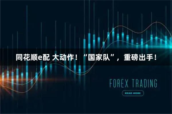 同花顺e配 大动作！“国家队”，重磅出手！
