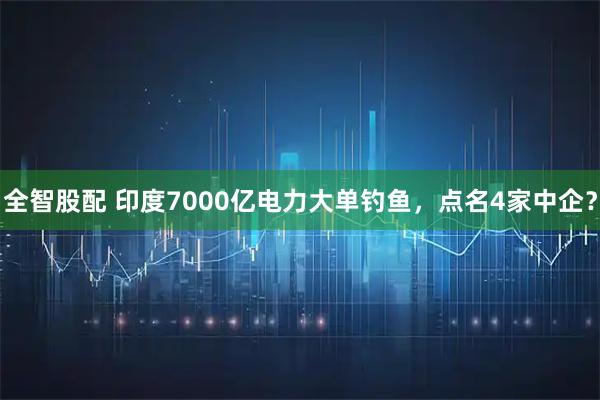 全智股配 印度7000亿电力大单钓鱼，点名4家中企？